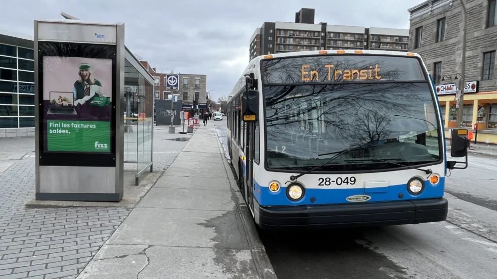 stm