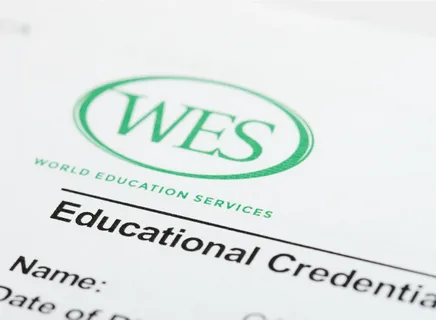 🔍 معرفی کامل سازمان WES (Detailed Introduction to WES Organization)
